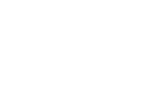 Vildflor